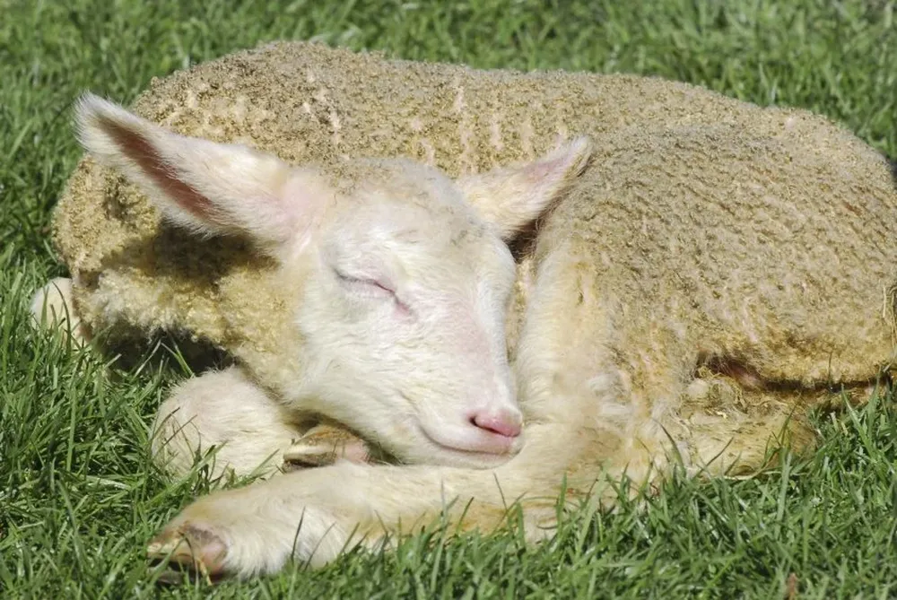 Se espera que el frío continue durante un par de días más.