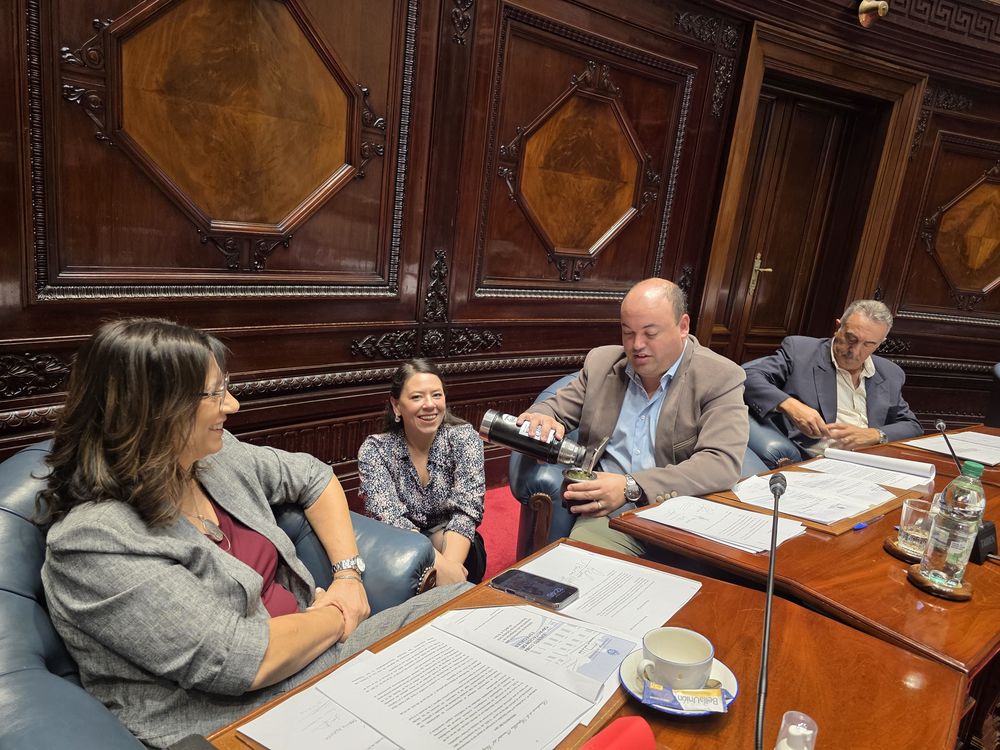 WhatsApp Image 2025-04-01 at 17.01.28.jpeg