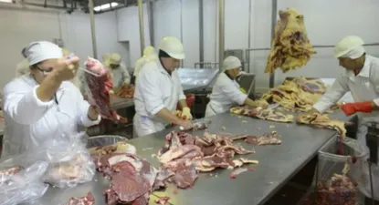 Frigorífico Pul envía 140 trabajadores a seguro de paro