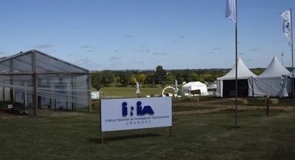 El Observador | 1648847186824.webp