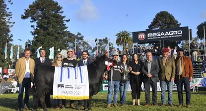 La Gran Campeona Angus Expo Prado 2022 es de Bayucuá y Cabaña Macedo.