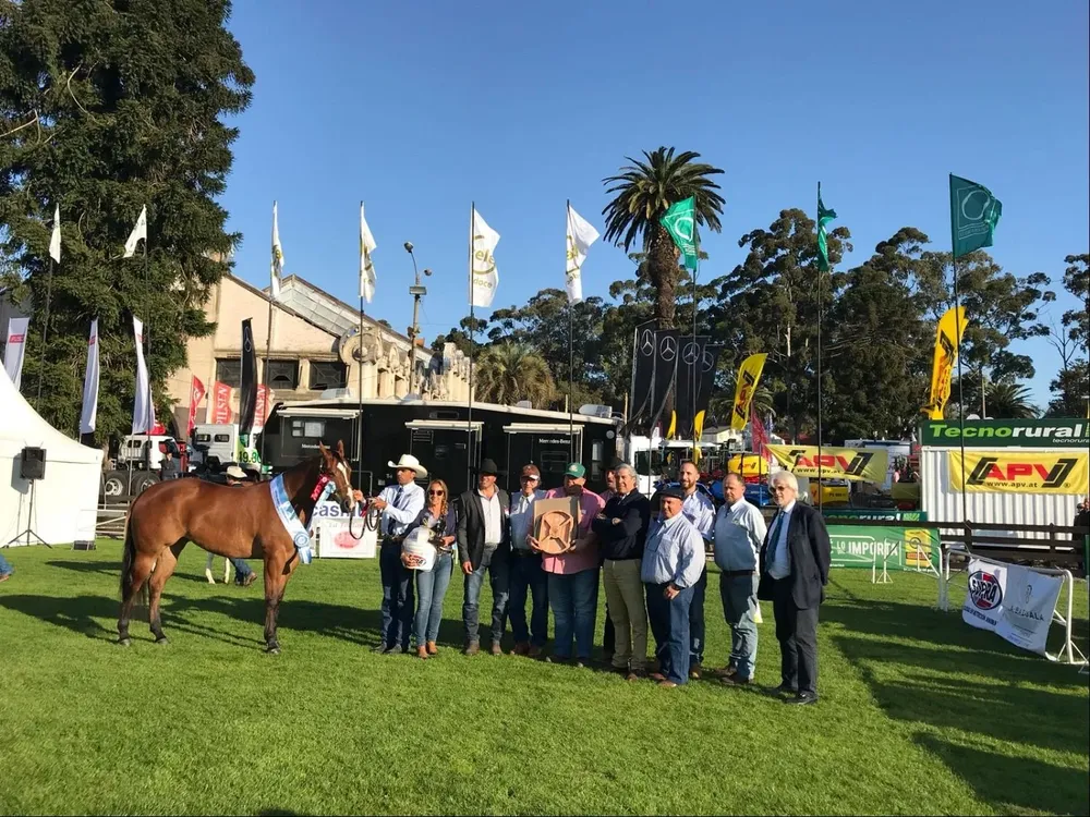 Gran Campeona Hembra