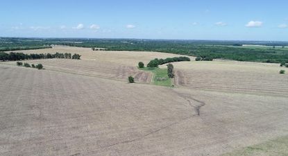 Predio donde se instalará la planta solar fotovoltaica de Teyma&nbsp;