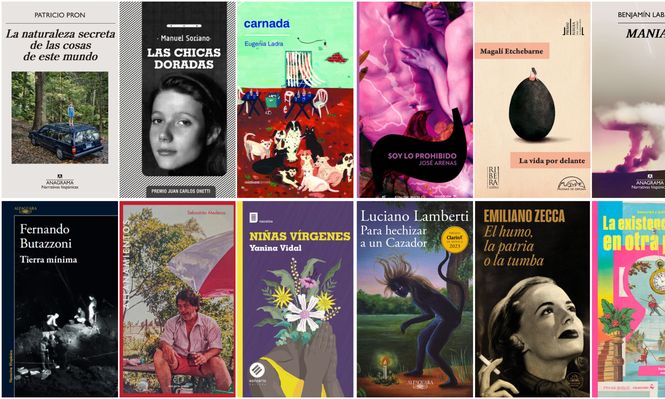 Doce libros (y un bonus track) que me llevo del 2024