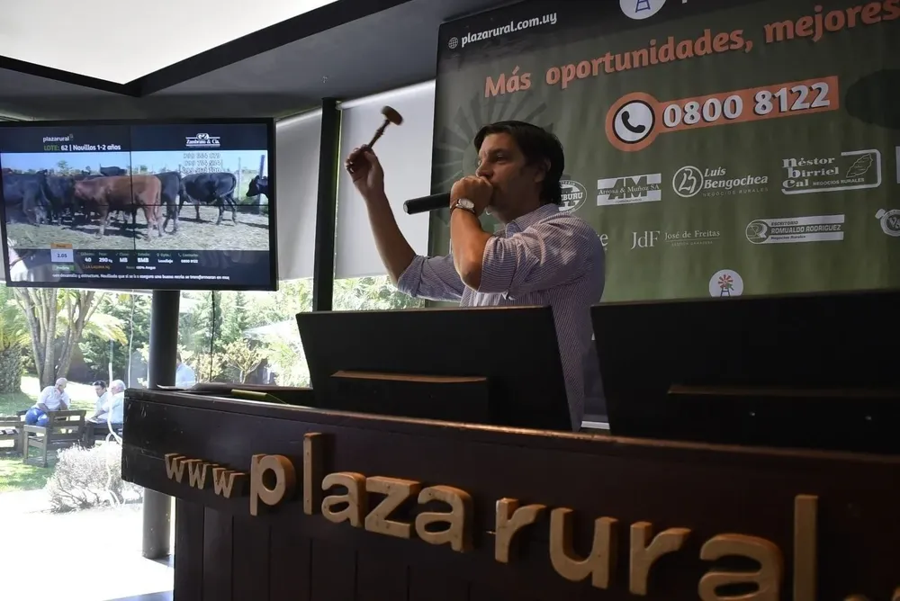 Plaza Rural realizará la venta Nº 236 de su remate ganadero por pantalla.