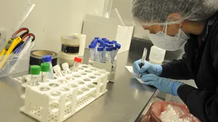 OMS: dos millones de muertos probables si no se actúa colectivamente contra la pandemia