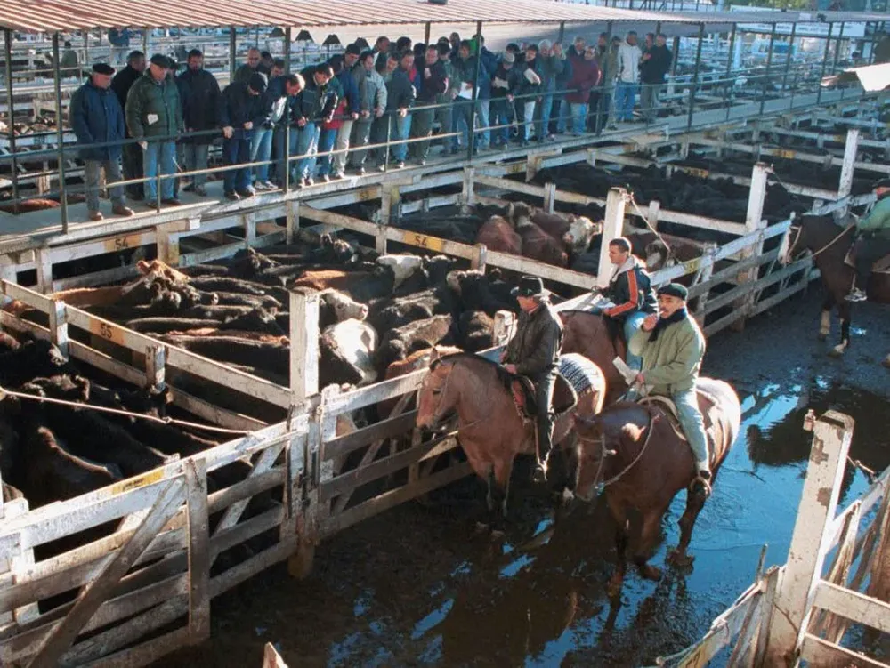 La faena vacuna cayó 6,9% en el primer cuatrimestre en Argentina