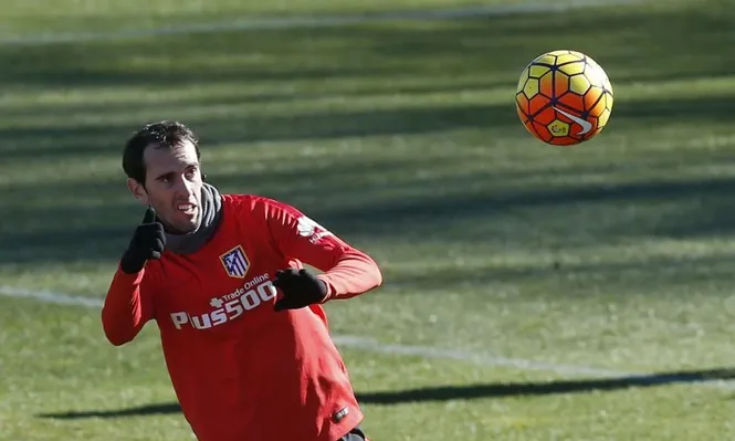 Diego Godín