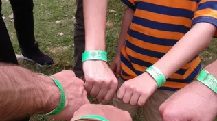 Una plataforma para donar a ONGs