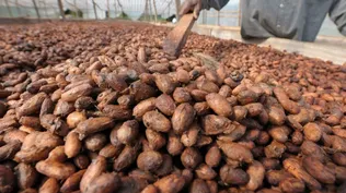 La industria del chocolate mira hacia los países emergentes