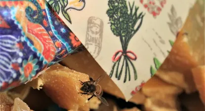 El Observador | 0028556889.webp