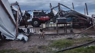 El galpón donde se prepara la producción para llevar al mercado quedó destrozado