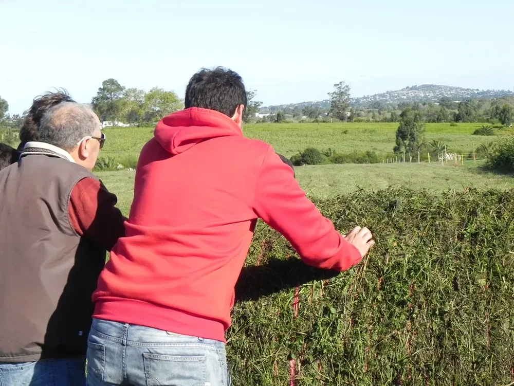 Productores observan un fardo elaborado en la Expo Melilla