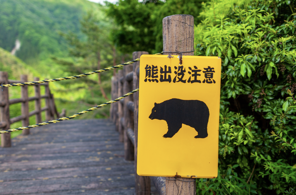 Japón registra récords de avistamientos de osos. 