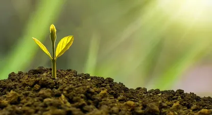 El Observador | 1692470463534.webp