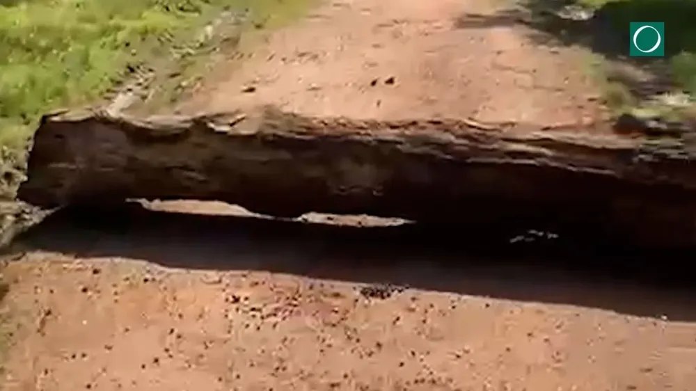 El tronco tirado en el ingreso a la casa