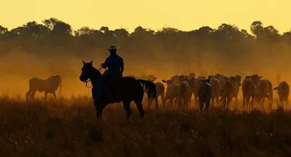 Atardecer en un campo de Brasil