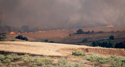 Voraz incendio en Méntrida: el viento aviva las llamas y quema 3.200 hectáreas muy cerca de Madrid