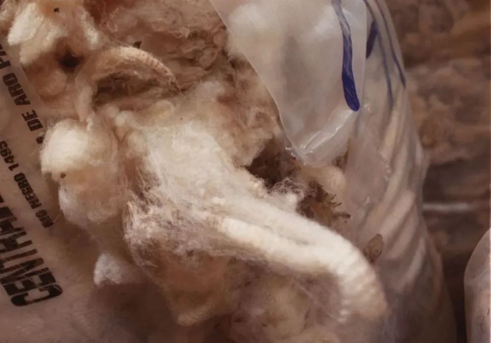 Se suspenderá por seis meses la admisión temporaria de lanas mayores a 26,5 micras.