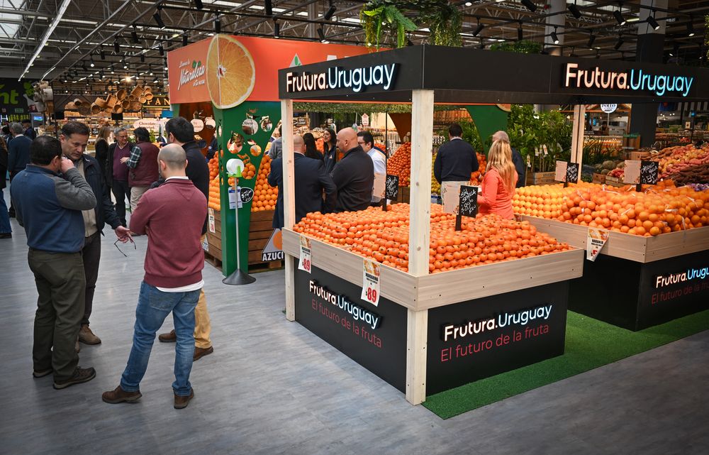 Ph Alvaro Portillo-81