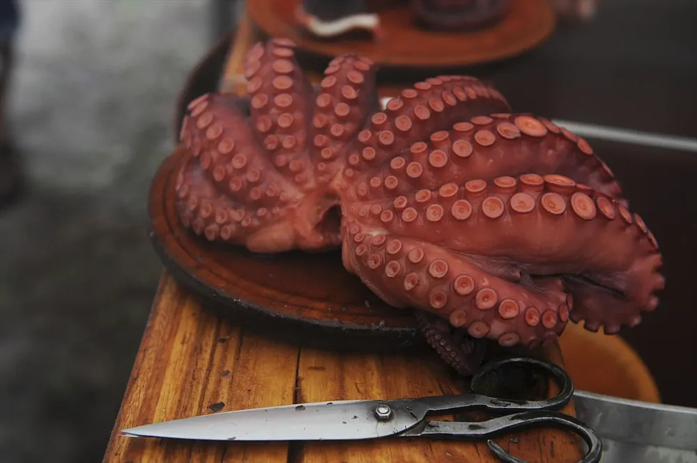 Uno de los pulpos cocinados en la Fiesta del pulpo celebrada en O Carballiño en Orense.