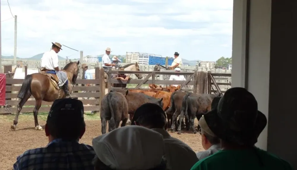 Hubo mucho interés por toda la oferta en Cuchilla de Silvera