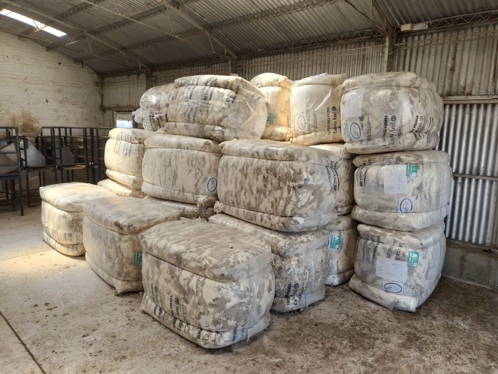 Lana de la más alta calidad, producida teniendo como marco los emprendimientos del CRILU.