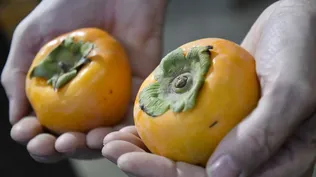 Brasil habilitó a Uruguay como abastecedor de caquí.