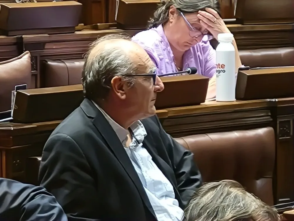 El diputado Gustavo Olmos de vuelta en su banca en la Cámara de Diputados