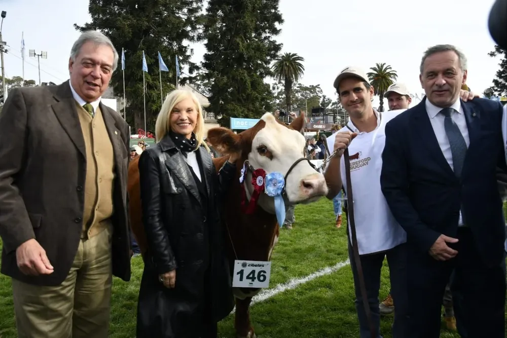 Mattos, Argimón, la Gran Campeona con su cabañero y Delgado, en la pista de la raza Hereford.