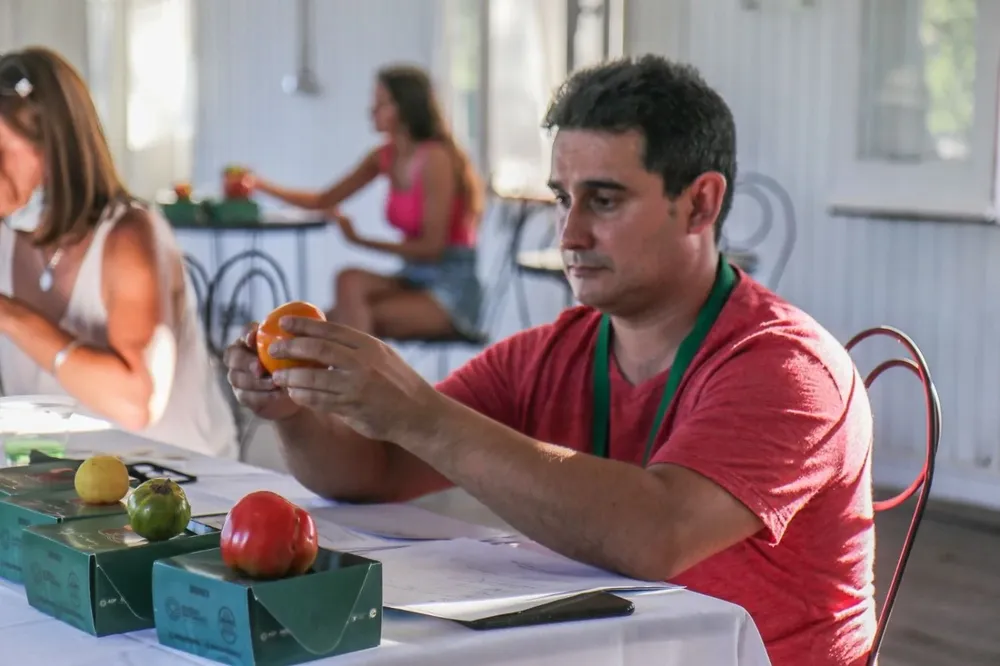 Alberto Castañero realizando la cata abierta de tomates antiguos