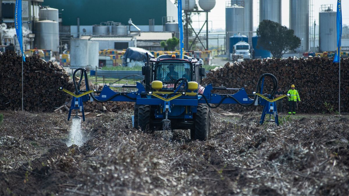 Uruguay es un destino estratégico y competitivo para la inversión en el sector forestal