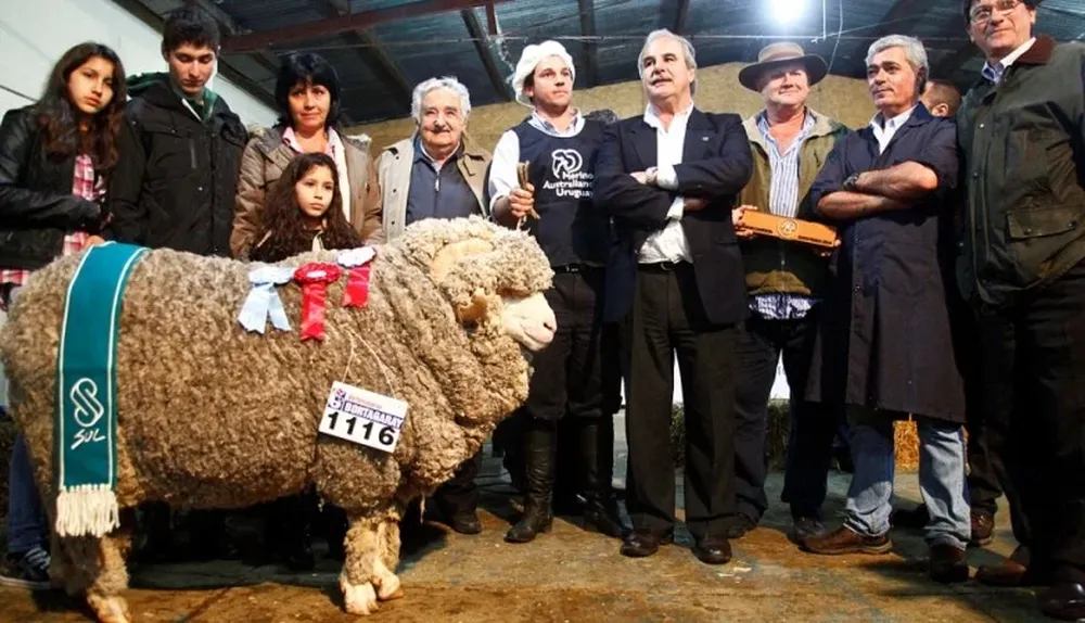 El presidente Mujica coronó al Gran Campeón Merino Australiano PI