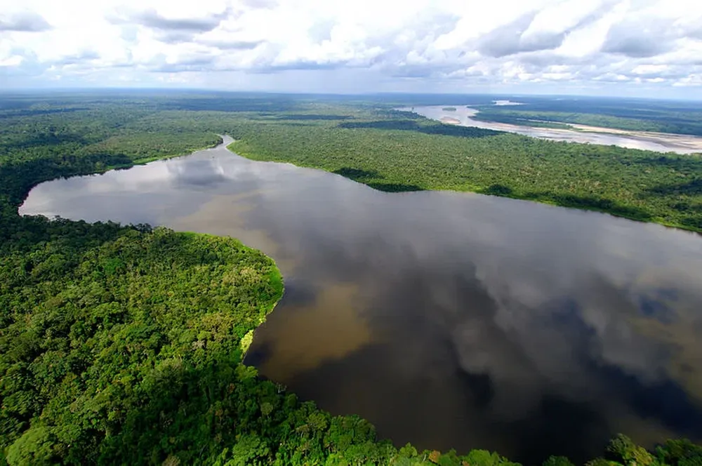 La torre se construye con la intención de que las investigaciones que allí se realicen sean una referencia mundial en cuanto a los bosques tropicales