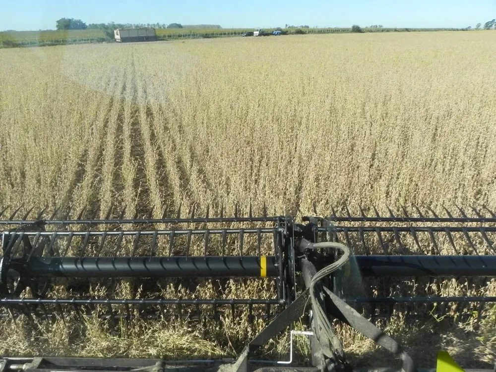 Cosecha de soja en campos del litoral uruguayo