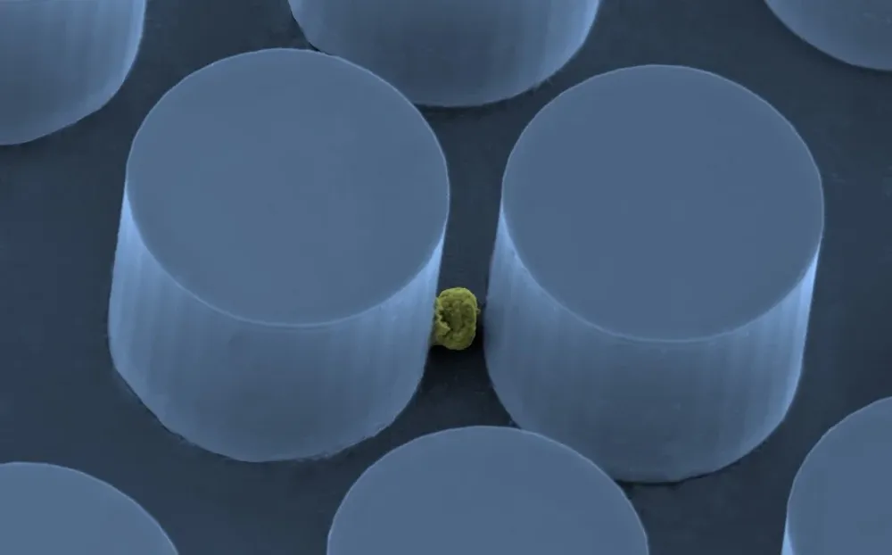 Una célula aislada de cáncer de pulmón