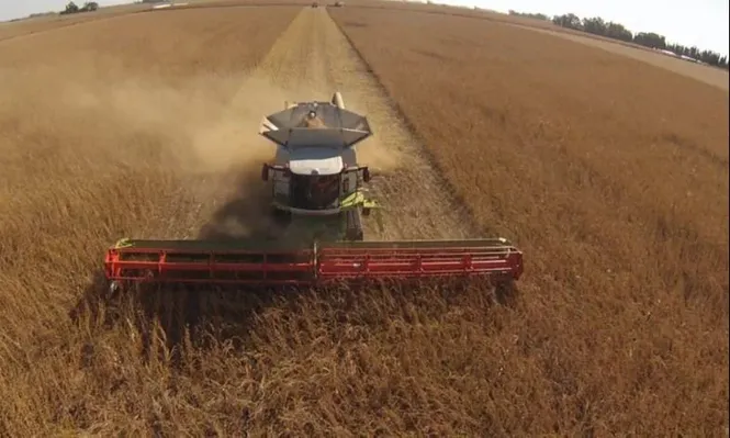 Brasil se consolida como granero y ganadero del mundo.