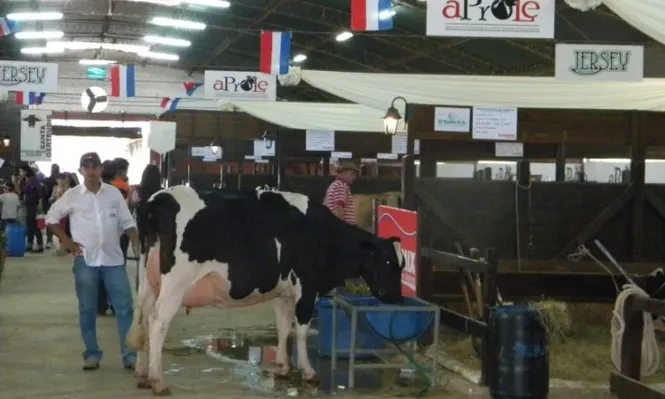 La muestra ganadera de Paraguay se presentó para la interesados de toda la región