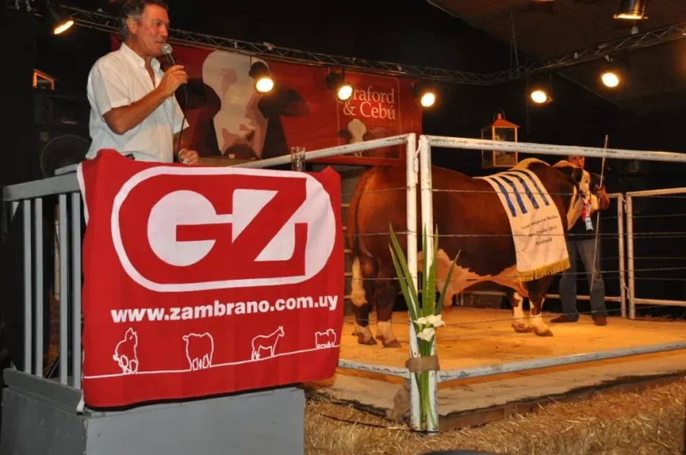 Rematará Zambrano & Cía