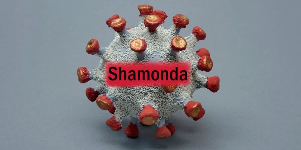 Virus Shamonda