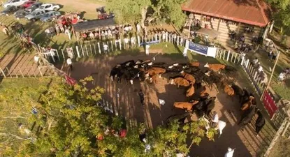 pese al invierno, el mercado  de haciendas continua firme