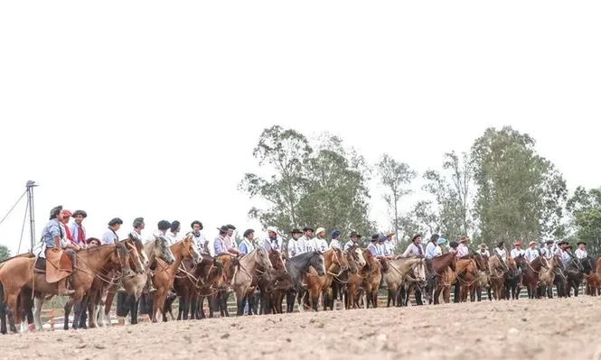 Este sábado se venderán los Criollos de la Copa Campera