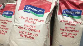 Leche en polvo entera.