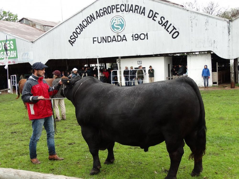 La jornada de calificaciones y ventas tuvo lluvia y mucho frío