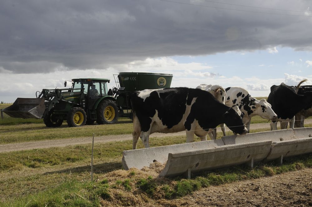 Tamberos: bajó el precio de la leche y muchos productores quedaron con los márgenes comprometidos.