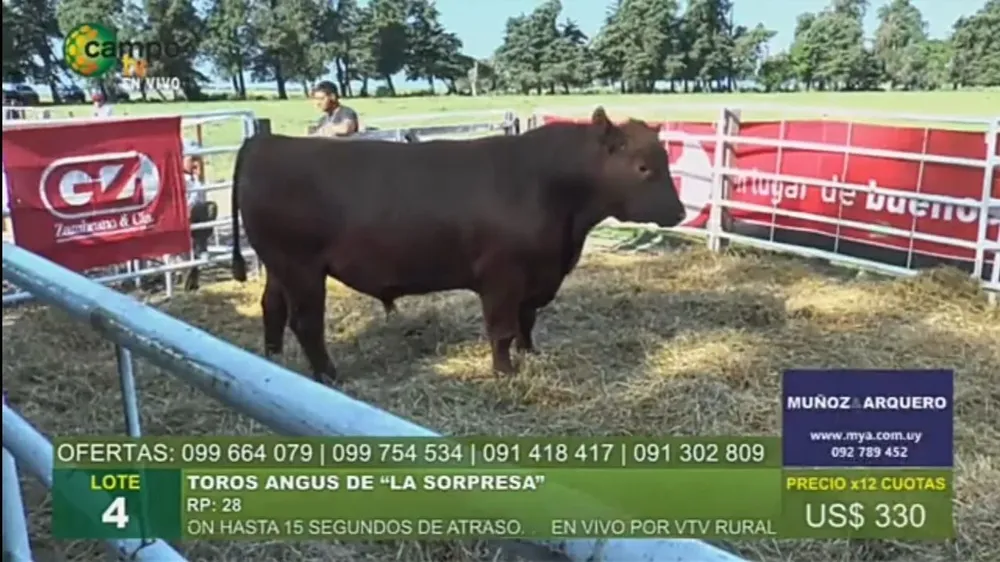 El remate Tierra de toros se hizo desde la estancia Santa Inés.