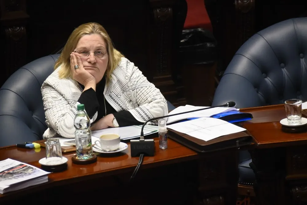 La senadora afirmó que no le vota más la licencia al exministro
