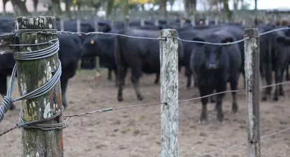 El campo argentino vuelve a enfrentarse con el gobierno.