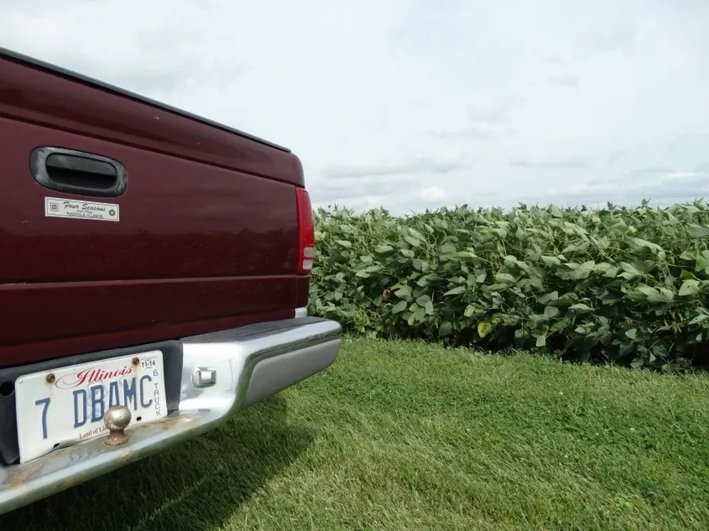 Producción de soja en chacras de Estados Unidos.