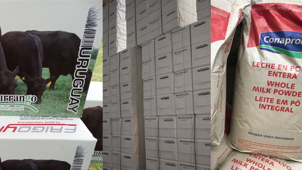 Carne vacuna, celulosa y lácteos.